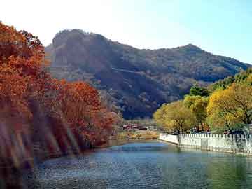 澳门天天开奖免费资料，都市天龙 一米水田